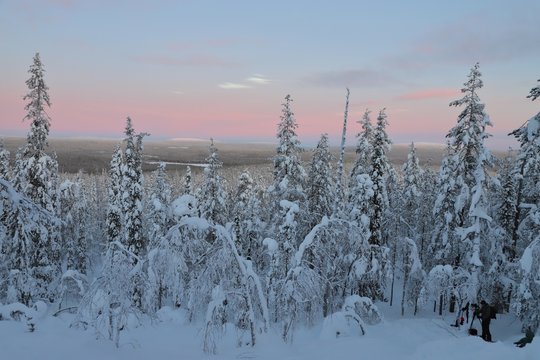Winter landscape with colourful sky in Finnish Lapland