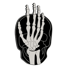 Skull and hand bones vector 