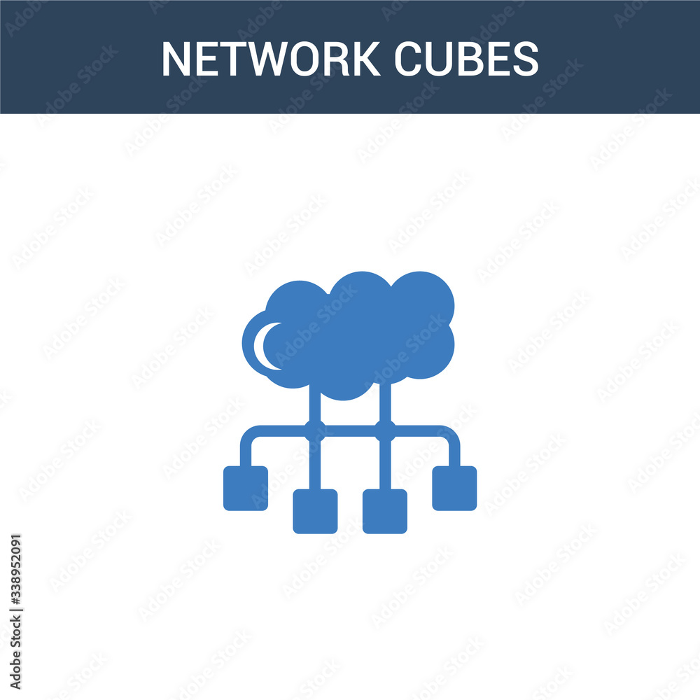 Poster two colored network cubes concept vector icon. 2 color network cubes vector illustration. isolated b