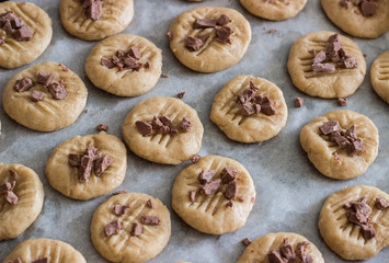 Obraz na płótnie Canvas Cookies with chocolate before readiness