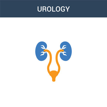 two colored Urology concept vector icon. 2 color Urology vector illustration. isolated blue and orange eps icon on white background.