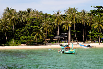 White sand beach, Vietnam