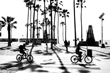 Biking in Venice Beach © Joshua