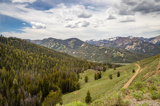 Sawtooth National Forest