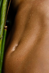 An attractive, fit, sexy female belly is covered with drops of water on tanned oily skin among...