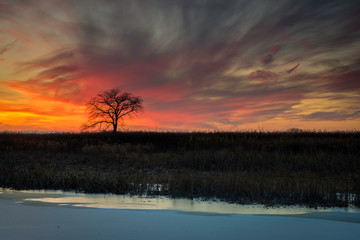 Naklejka na ściany i meble A fiery sunset sky over a frozen midwestern wetland habitat.