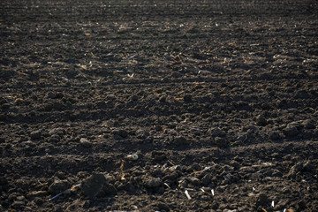 Agricultural rural background. Plowed field. Close-up.