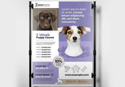 Poster Layout for Puppy and Dog Services