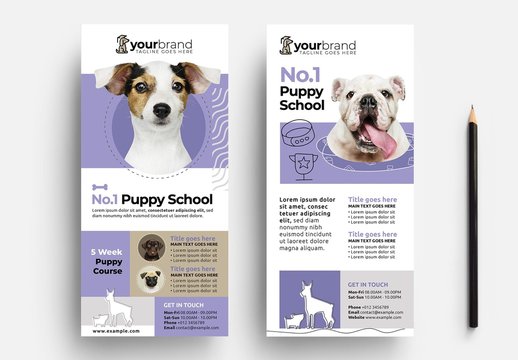 Purple Flyer Layout for Dog Walking and Puppy School