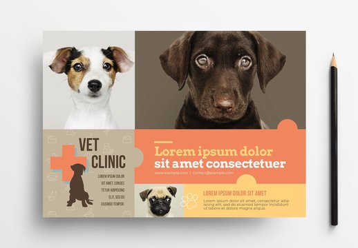 Veterinary Flyer Layout with Dog Silhouette Illustration