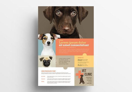 Veterinary Flyer with Orange Accents