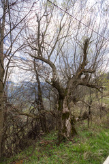Iskar Gorge from village of Zasele, Balkan Mountains
