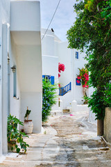 Fototapeta na wymiar Picturesque narrow street with traditional whitewashed houses with blooming bougainvillea flowers of Naousa town in famous tourist attraction Paros island, Greece