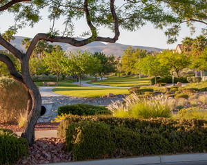 Vivaldi Park, Henderson, NV.