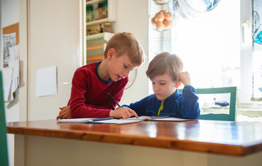 Brothers learning at home, Homeschooling
