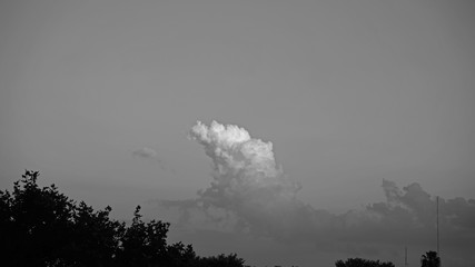 NUBE Y ARBOLES