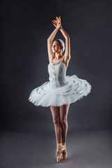 Graceful ballet dancer or classic ballerina dancing isolated on grey studio background. The dance, grace, artist, contemporary, movement, action and motion concept. Swan Lake Costume