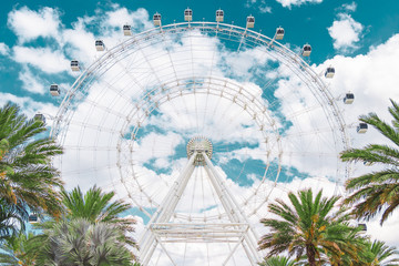 Ferris wheel in the city