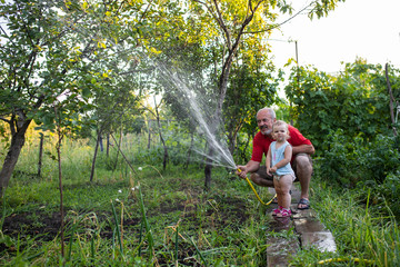 Grandfather with granddaughter in the country water the garden