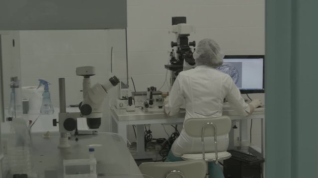 in vitro fertilization process in the laboratory