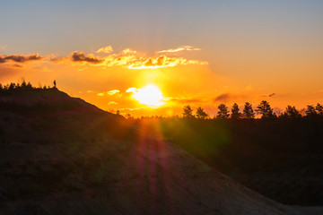 Obraz premium Sunset against the backdrop of tree tops.