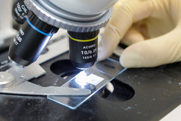 A slide is seeing under microscope