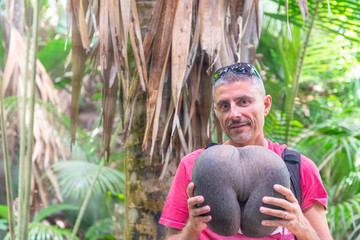 Male holding seychelles endemic species coconut named coco de mer