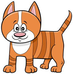 cute kitten cartoon animal character