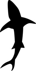 Vector silhouette of a shark swimming on the sea