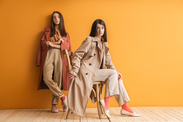 Stylish young women near color wall
