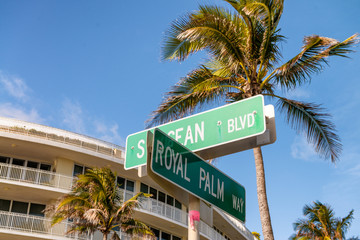 Fototapeta na wymiar Palm Beach Boulevard, Florida. Road signs and beautiful palm trees against blue sky