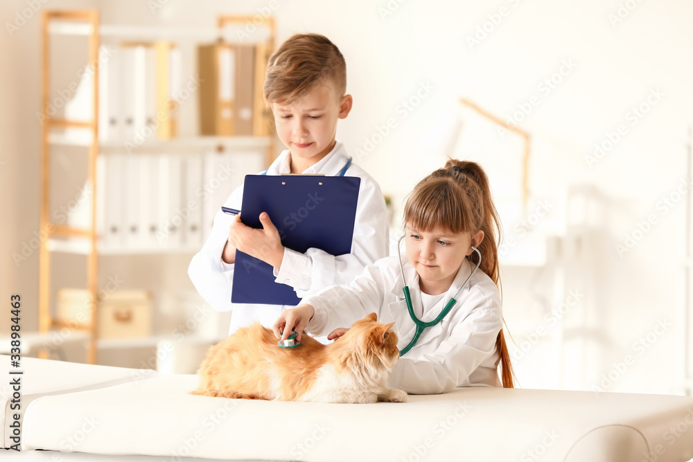 Poster Little veterinarians examining cute cat in clinic