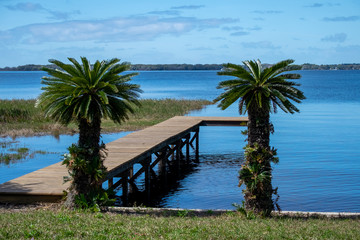 A wooden dock or wharf which is extending out into a smooth blue waterway. There are palm trees in front of the wharf with grass. The sky is blue with some clouds. The land is in the distance. 