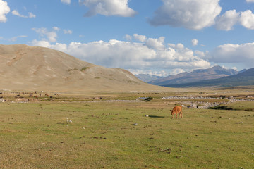 Mongolia landscape. Altai Tavan Bogd National Park in Bayar-Ulgii