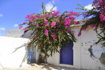 Projekt Djerbahood, street art, Djerba Tunezja © Albin Marciniak