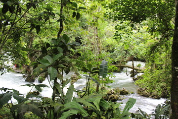 Walking in the Peruvian rainforest