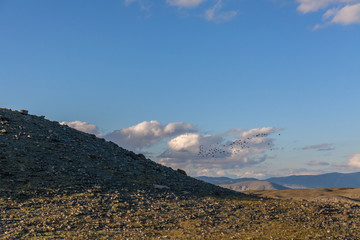 Obraz premium Typical view of Mongolian landscape. Mongolian Altai, Mongolia