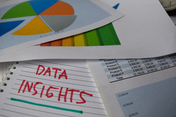 Data Insights write on a book isolated on Office Desk. Stock market concept