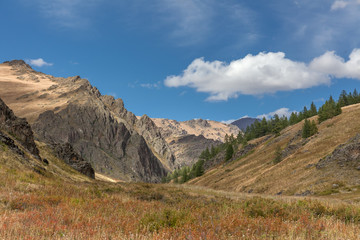 Typical landscapes of Mongolia. mountain slopes and valleys. Altai, Mongolia