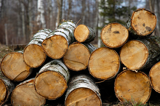 environmental ecology problem concept deforestation process picture of wooden piles country side space of European Union