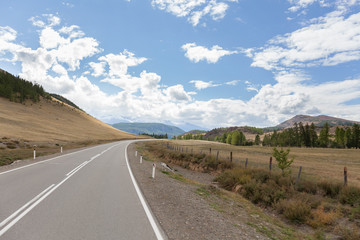 Summer in Altai Russia, road to Altai Mountains, Beautiful summer view of Altai mountains