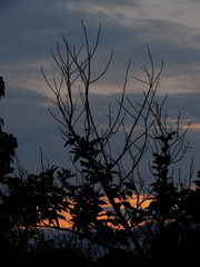 atardecer