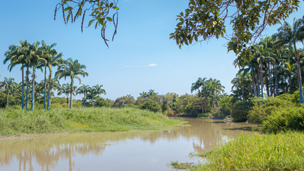 Isla Santay Guayaquil