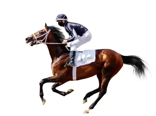 Foto auf Alu-Dibond Racing, background, horses, racetrack isolated on white background © Dikkens