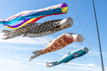 大空を泳ぐ鯉のぼり