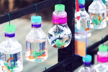 ornamental fish in the lamp