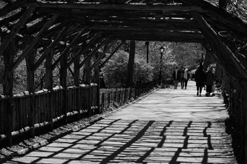 Wooden bridge in Central Park, spring 