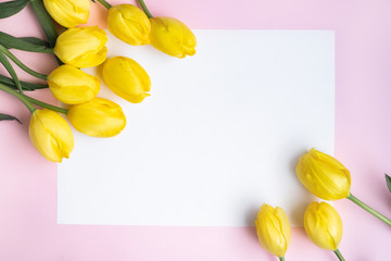 Gift frame for text with yellow tulips and white sheet of paper with space for text. pink background. flat lay. easter or woman day concept