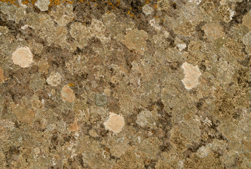Empty flat stone surface with lichen.