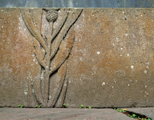 A botanical floral detail carved in a sandstone fountain basin, a thistle plant.